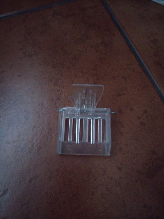 Abelhas rainhas, apicultura, enxames