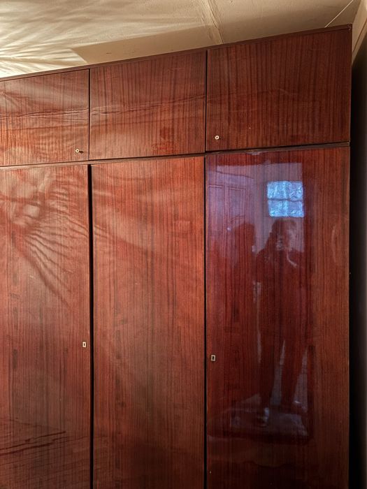 Відам в добрі руки