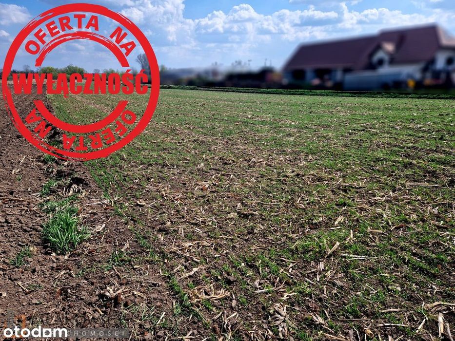 Działka na sprzedaż, Proszowice (gw) - Widok 5