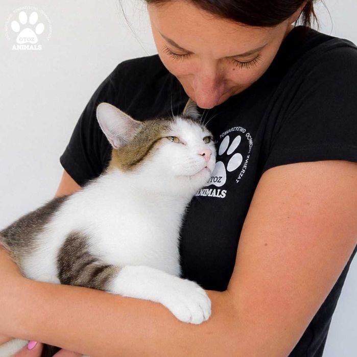 Wesoły kocurek do adopcji! Poznajcie Kminka!