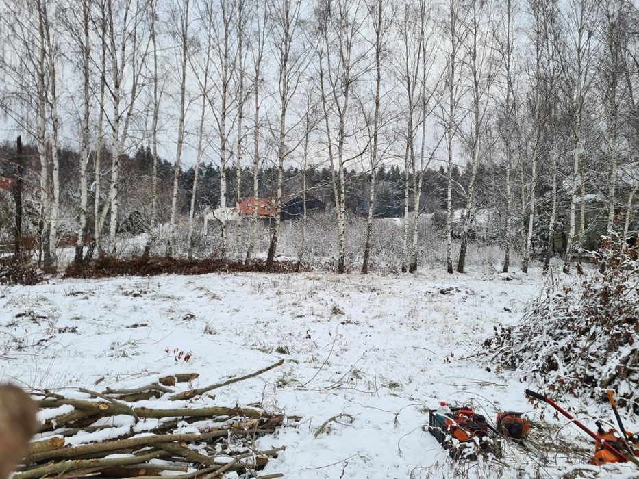 Drwal Pilarz, usługi leśne, wycinka drzew