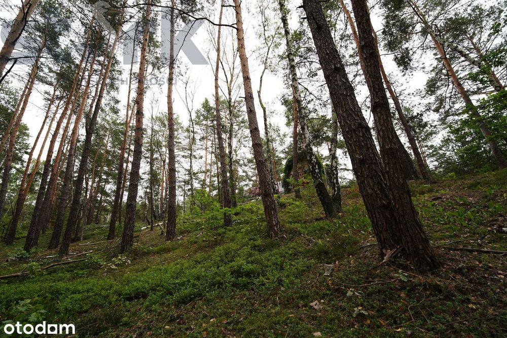 Działka budowlana na Wydmach  2221 m2 - bez prowizji