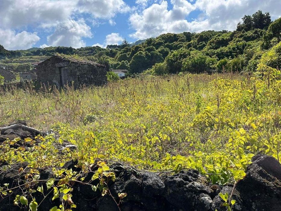 Terreno   Calhau Piedade