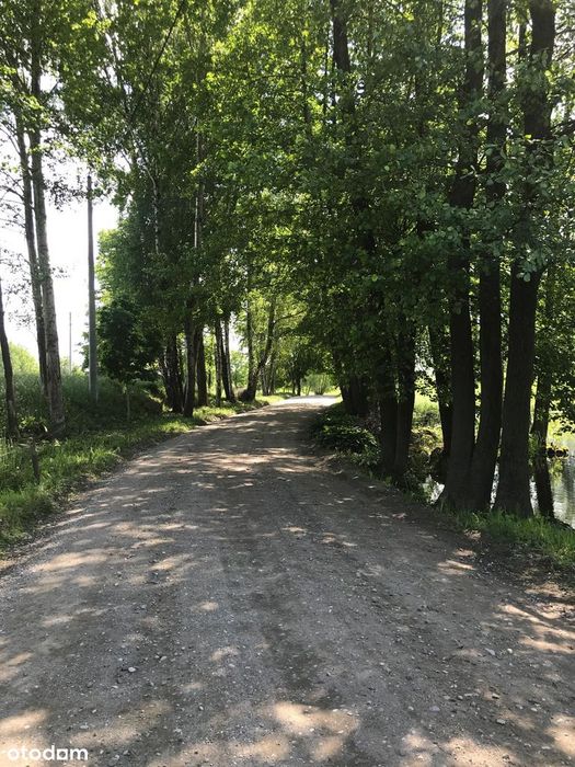 Siedlisko 2,38 ha z zabudowaniami i stawem – 14 km od Olsztyna