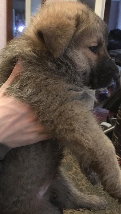 Акція - розпродаж!