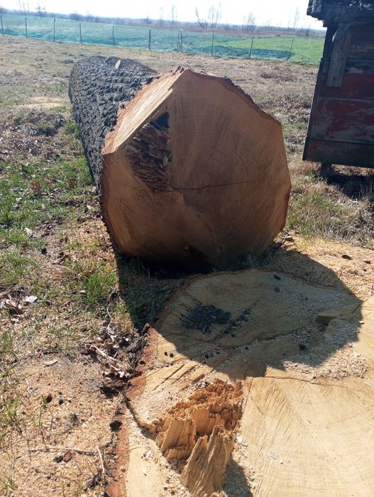 Продаємо дуба довжина 4 метра