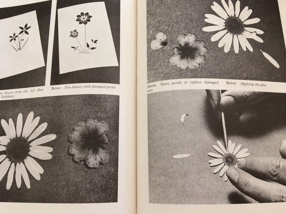 3 livros de literatura estrangeira