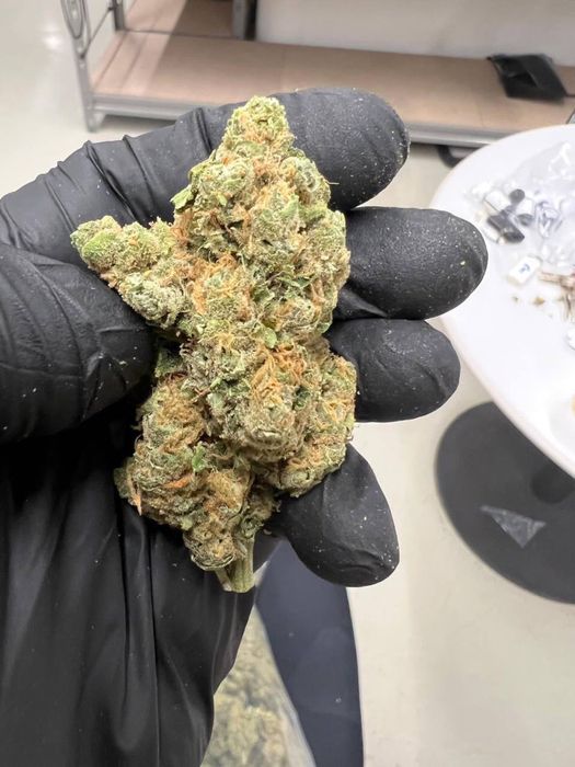 Susz cbd PREMIUM 1:1