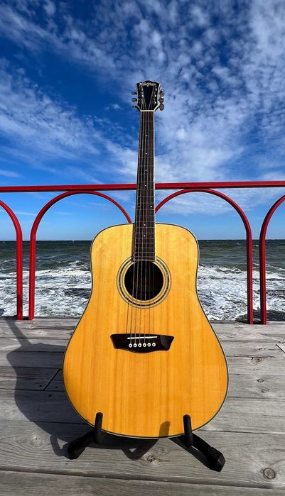 Гитара акустическая Washburn WCD18 с цельным топом. + чехол в подарок!