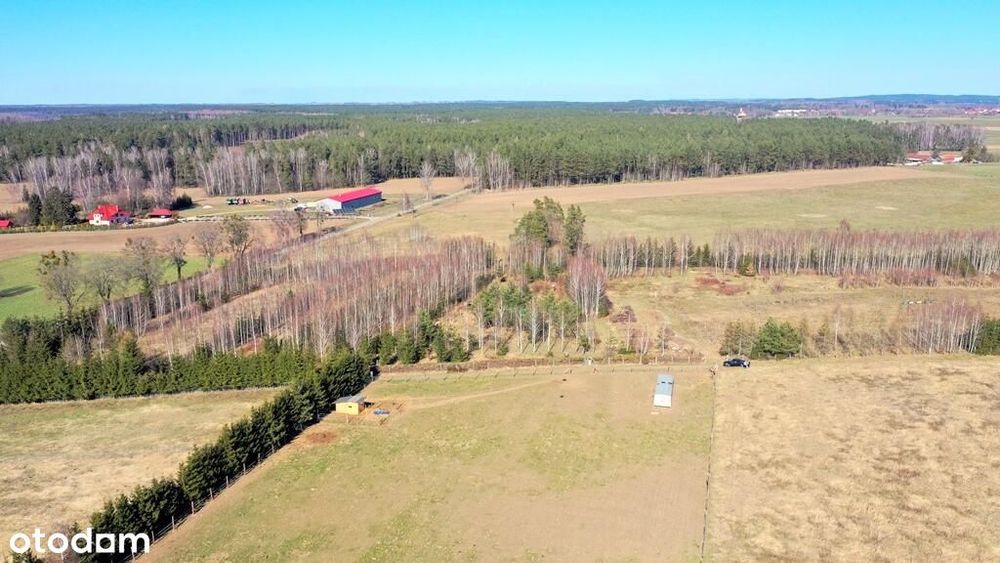 Działka bud. Pieczarki gm Pozezdrze - Widok 4