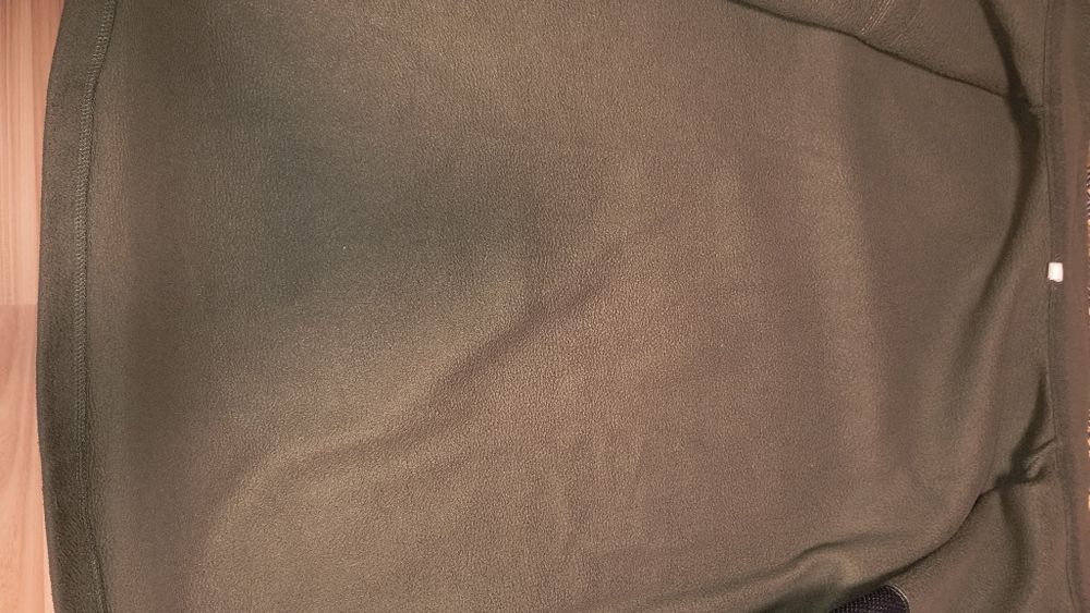 Фліска олива зимова