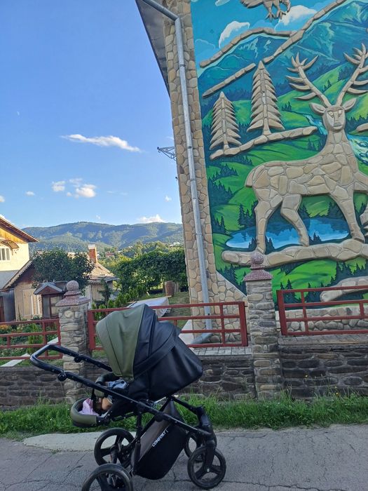 Візок 2 в 1 Donata'n