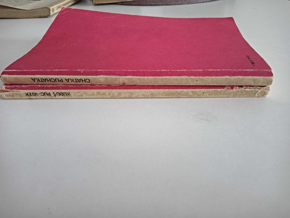 2 książki A.A. Milne – „Kubuś Puchatek” + „Chatka Puchatka”