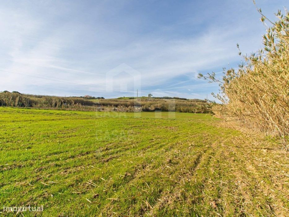 Land for Sale - Ericeira, 13 km Away, A Casa das Casas