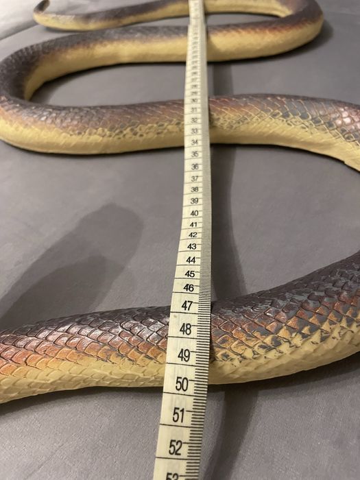 Zabawki gumowe węże