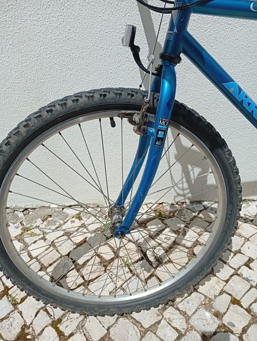 Bicicleta de montanha