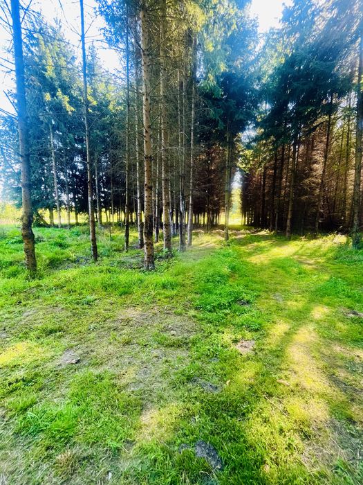 Klimatyczny Domek Nad Stawem -na wyłączność