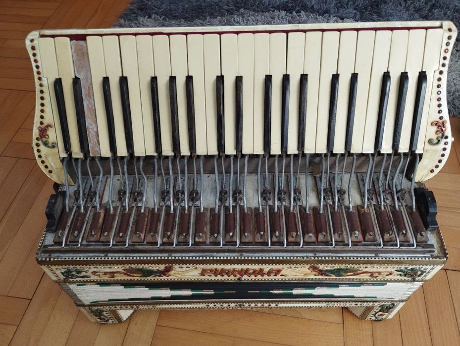 Akordeon pianola 120 basow