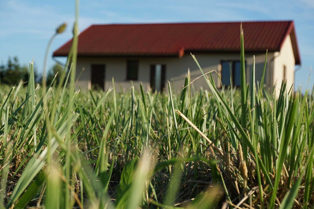 Wynajmę domek letniskowy, pomost, rowerek wodny