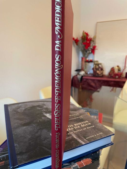 Deuses e Demónios da Medicina - Vol. I - Fernando Namora