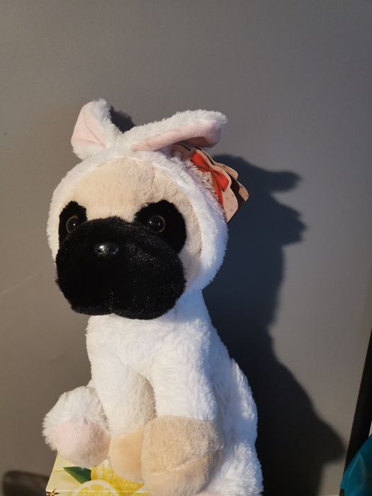 Maskotka Pies Prezent