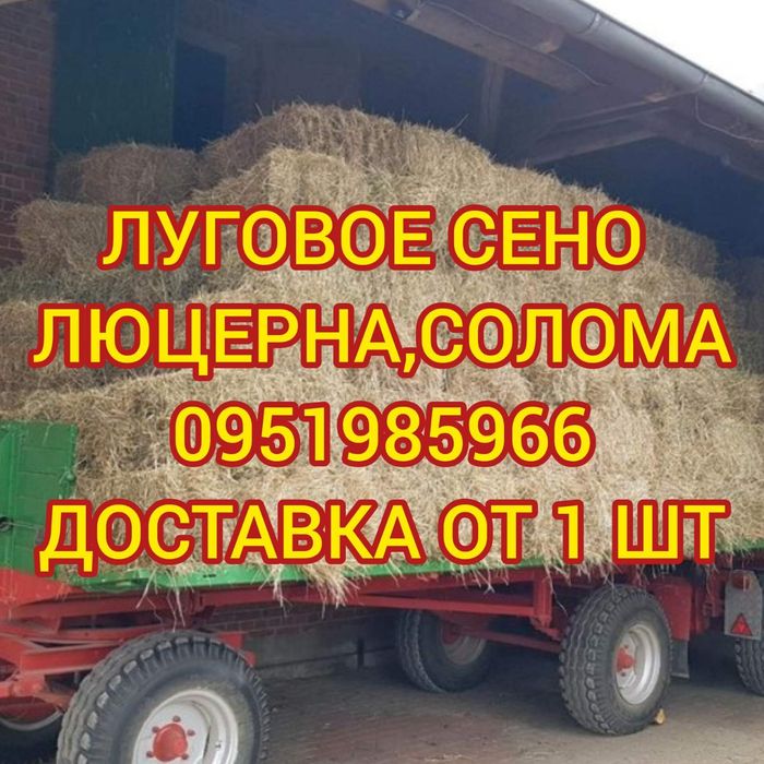 СЕНО ДОСТАВКА ОТ 1 шт в тюках мешках , сіно озиме и др. В наличии.