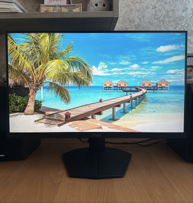 170гц IPS MSI G244F E2
