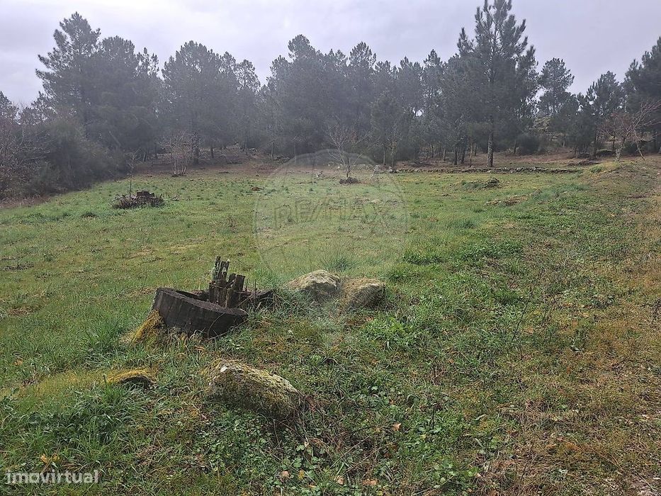 Terreno  para venda — Castelo, Viseu