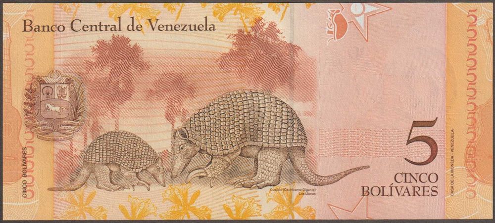 Wenezuela 5 bolivares - J - stan bankowy UNC