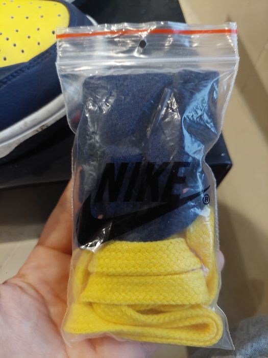Nike dunk low disrupt