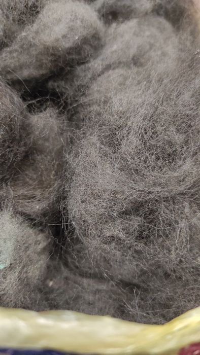 Шерсть ньюфаундленда, очень теплый пух