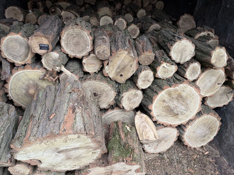 Дрова,твердых пород БЕЗ предоплат
