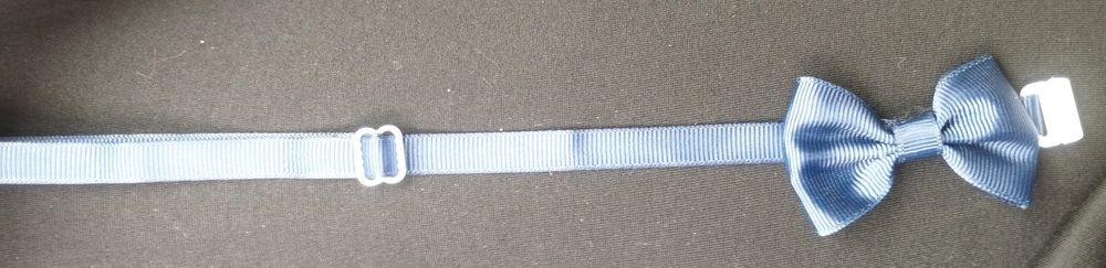 Coleira gato ou cão pequeno