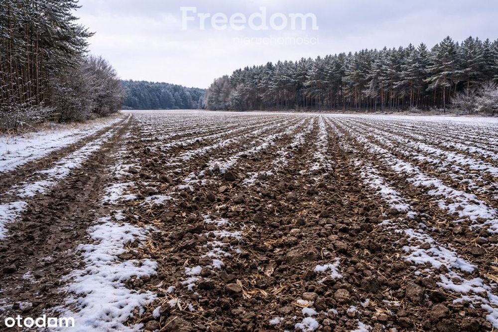 Ziemia rolna kl. III–IVa | Mienia, gm. Cegłów