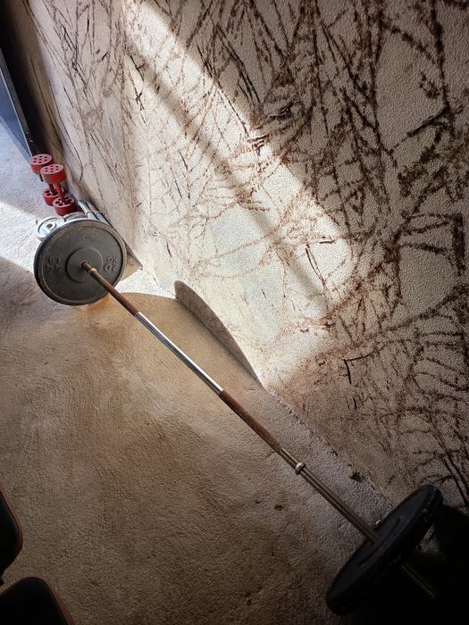 Anilhas, halteres, barras e banco de ginásio.