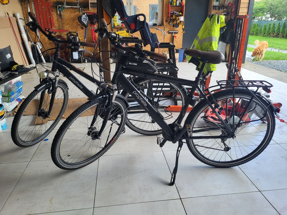 Rower trekkingowy Prophete Comfort