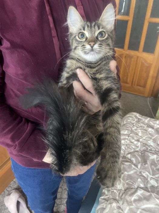 Лучший родарочек