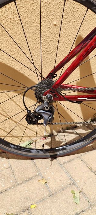 Bicicleta _ Goka Carbono