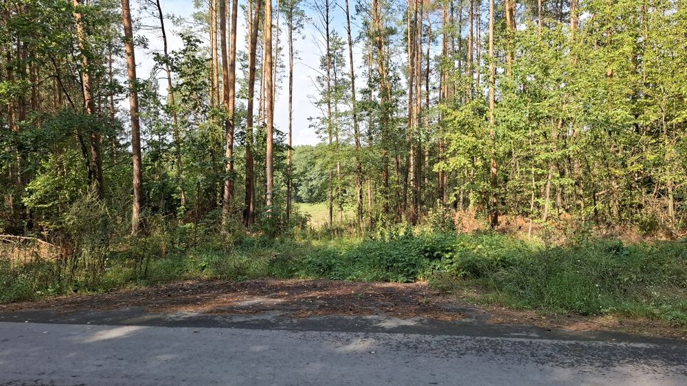 Dzialka 2000m2. Piękne ciche miejsce.