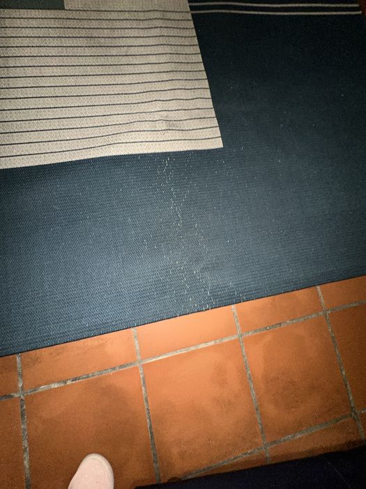 Tapete IKEA ROSKILDE tons azul e bege 250x200