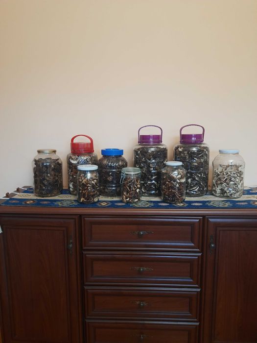 Grzyby suszone od grzyboznawcy