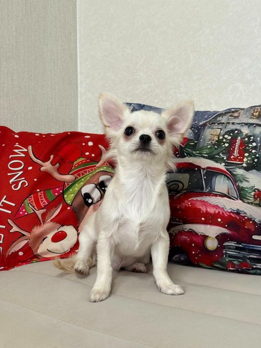 Дуже гана дитина