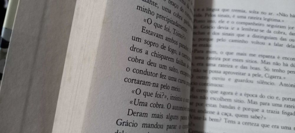 Livro: Jogos de Azar - José Cardoso Pires
