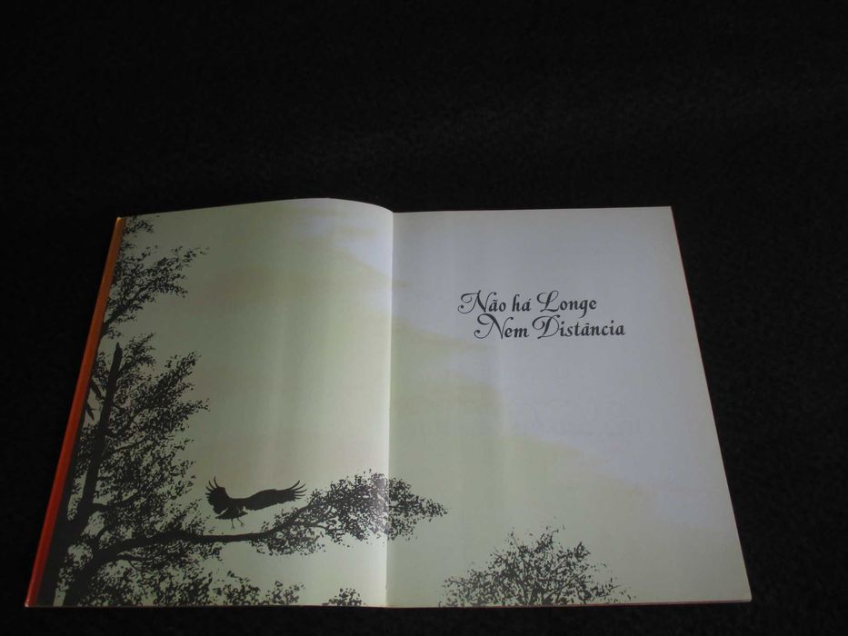 Livro Não há longe nem distância Richard Bach