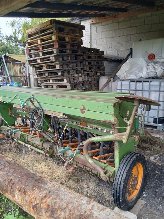 Siewnik amazone
