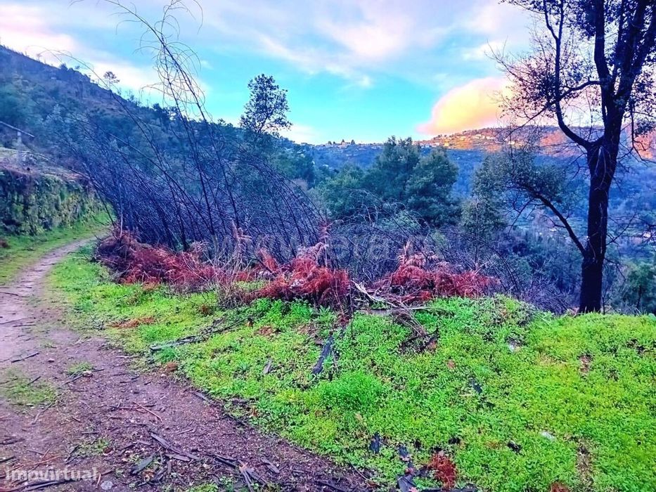 Terreno Rústico / Baião, Ancede e Ribadouro
