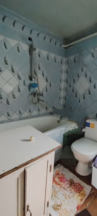 Продам будинок на Олексіївці ( Меживий Бульвар) червона лінія