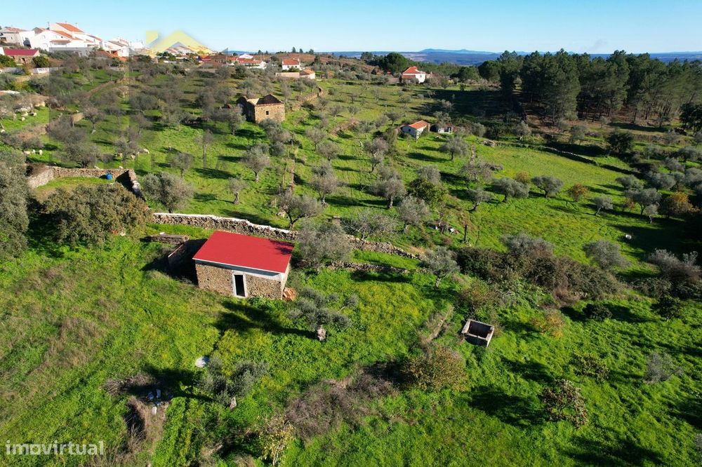 Quintinha  Venda em Perais,Vila Velha de Rodão