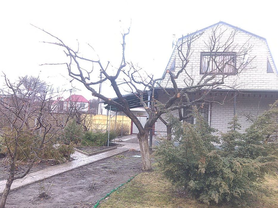 ОБРЕЗКА деревьев и кустарников Каменское