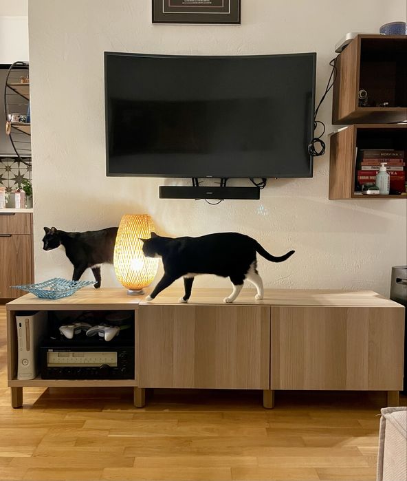 Szafka RTV Ikea Besta